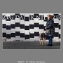 260217-01-Marian-Vermeeren
