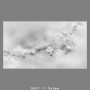 260217-11-Tilly-Baan