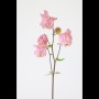 250520-07-Marian-Vermeeren
