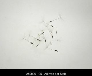 250909-05-Arij-van-der-Stelt