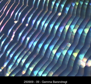 250909-09-Gemma-Barendregt