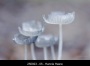 250923-05-Hannie-Heere