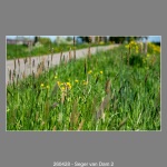 260428-Seger-van-Dam-2