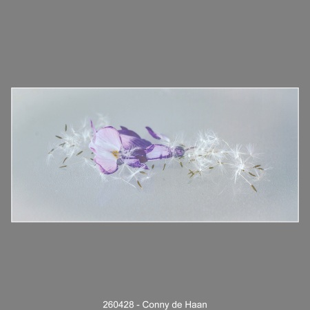 260428-Conny-de-Haan