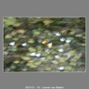 261013-19-Leonie-van-Betten