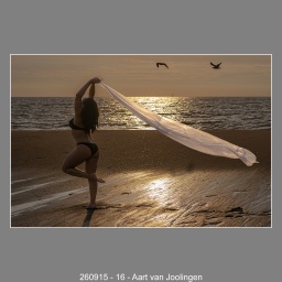 260915-16-Aart-van-Joolingen