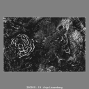 260915-19-Anja-Lissenberg