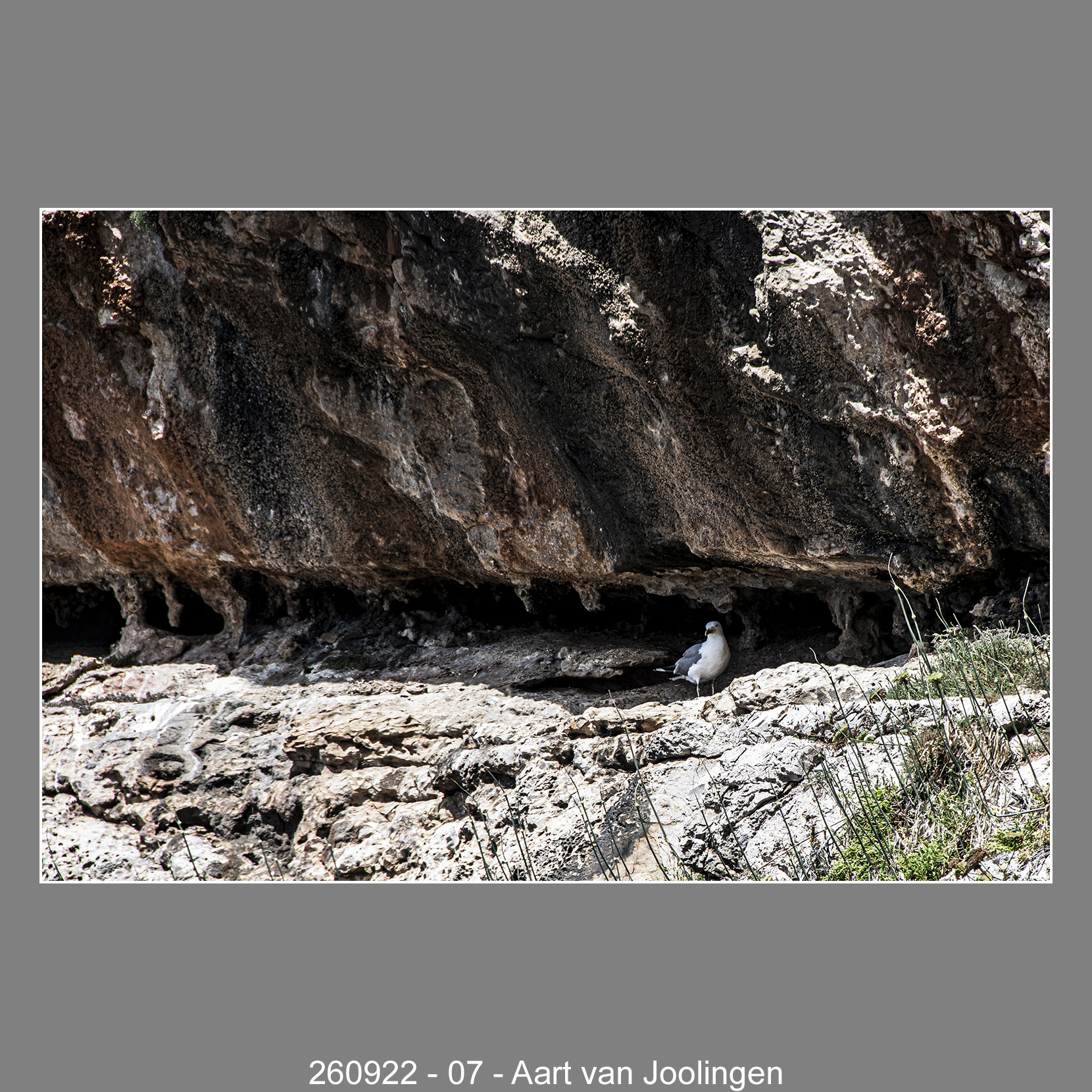 260922-07-Aart-van-Joolingen