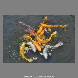 260929-02-Andries-Gerrits
