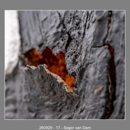 260929-17-Seger-van-Dam