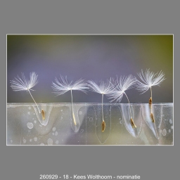 260929-18-Kees-Wolthoorn-nominatie