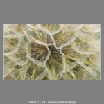 260707-24-Gemma-Barendregt