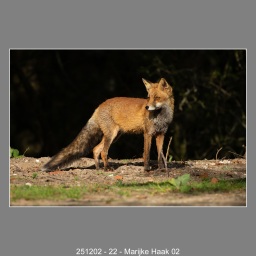 251202-22-Marijke-Haak-02