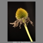 250916-08-Kees-Wolthoorn