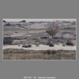 251118-15-Hennie-Oomens