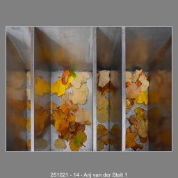 251021-14-Arij-van-der-Stelt-1