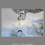 260127-03-Theo-van-Popering