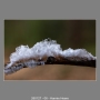 260127-06-Hannie-Heere