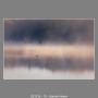 251216-10-Hannie-Heere