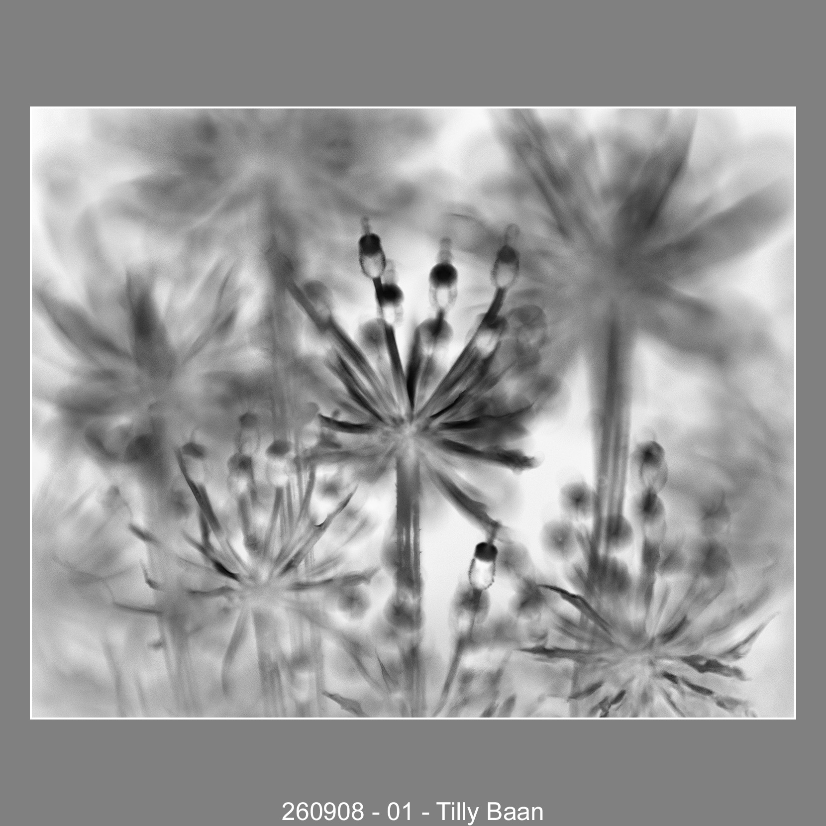 260908-01-Tilly-Baan