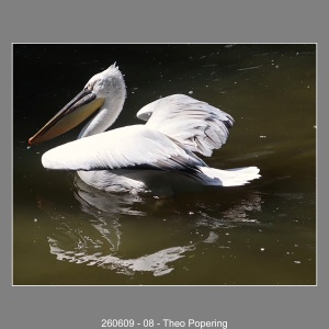 260609-08-Theo-Popering