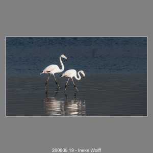 260609-19-Ineke-Wolff